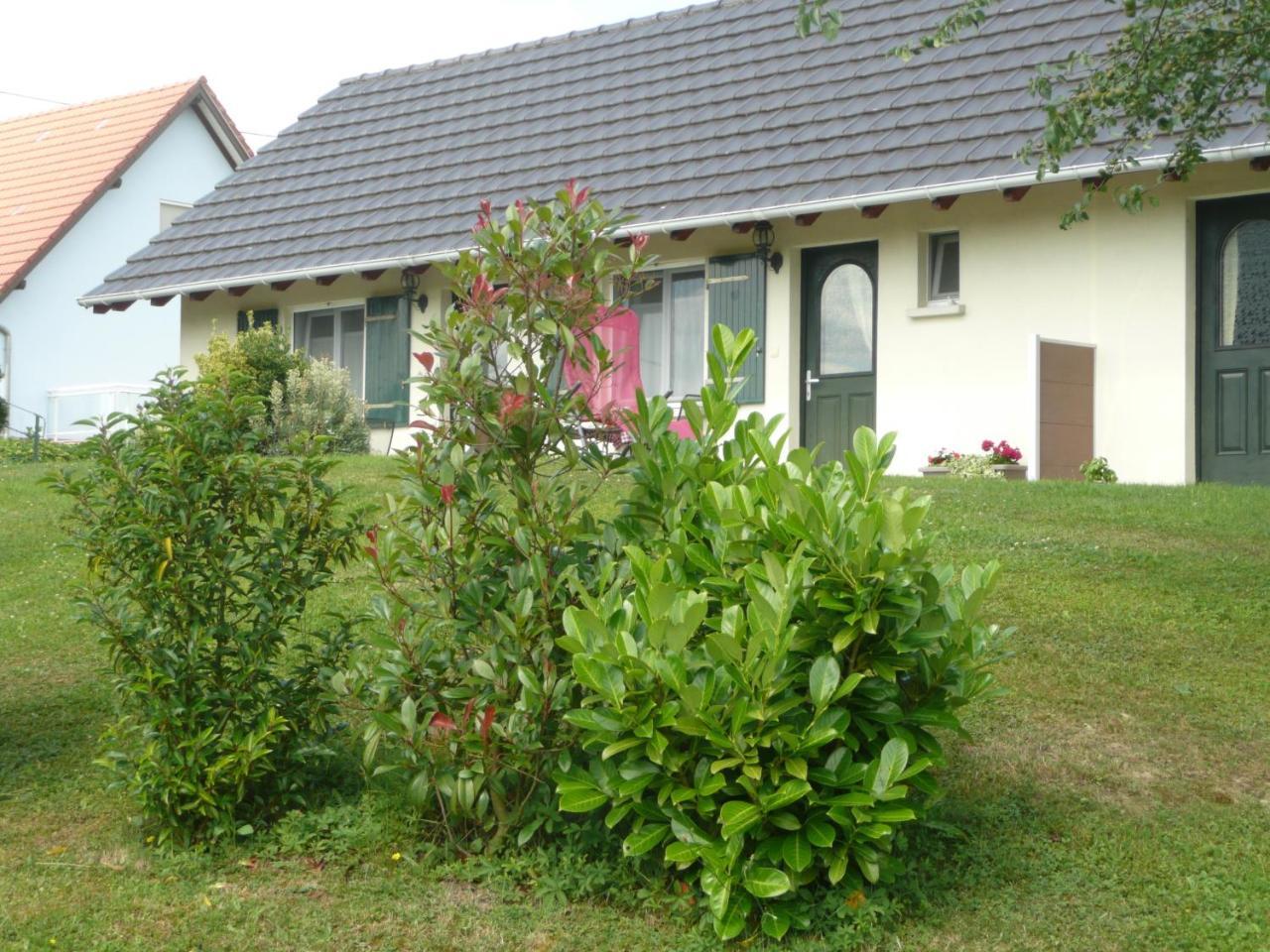Bed and Breakfast Chez Anny Et Jean Au Mittelbuehl-Reichshoffen Exterior foto