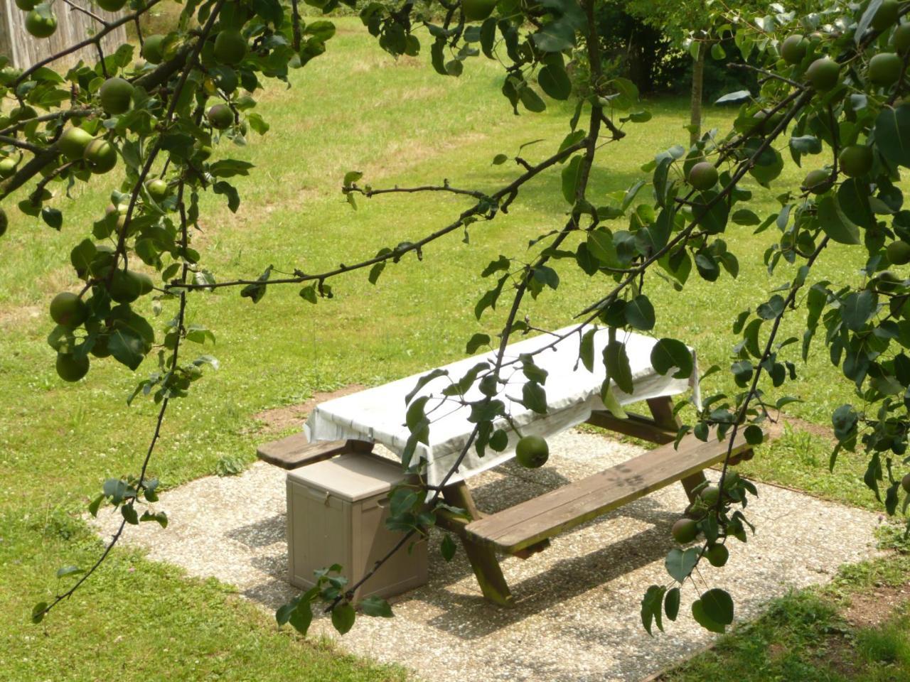 Bed and Breakfast Chez Anny Et Jean Au Mittelbuehl-Reichshoffen Exterior foto